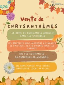 Ventes de chrysanthèmes